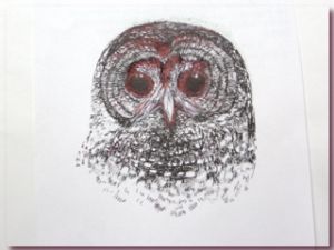 Pic: "Spotted Owl" - Martin Murie, 2003 - Size: 12k